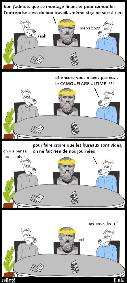 Le camouflage ultime